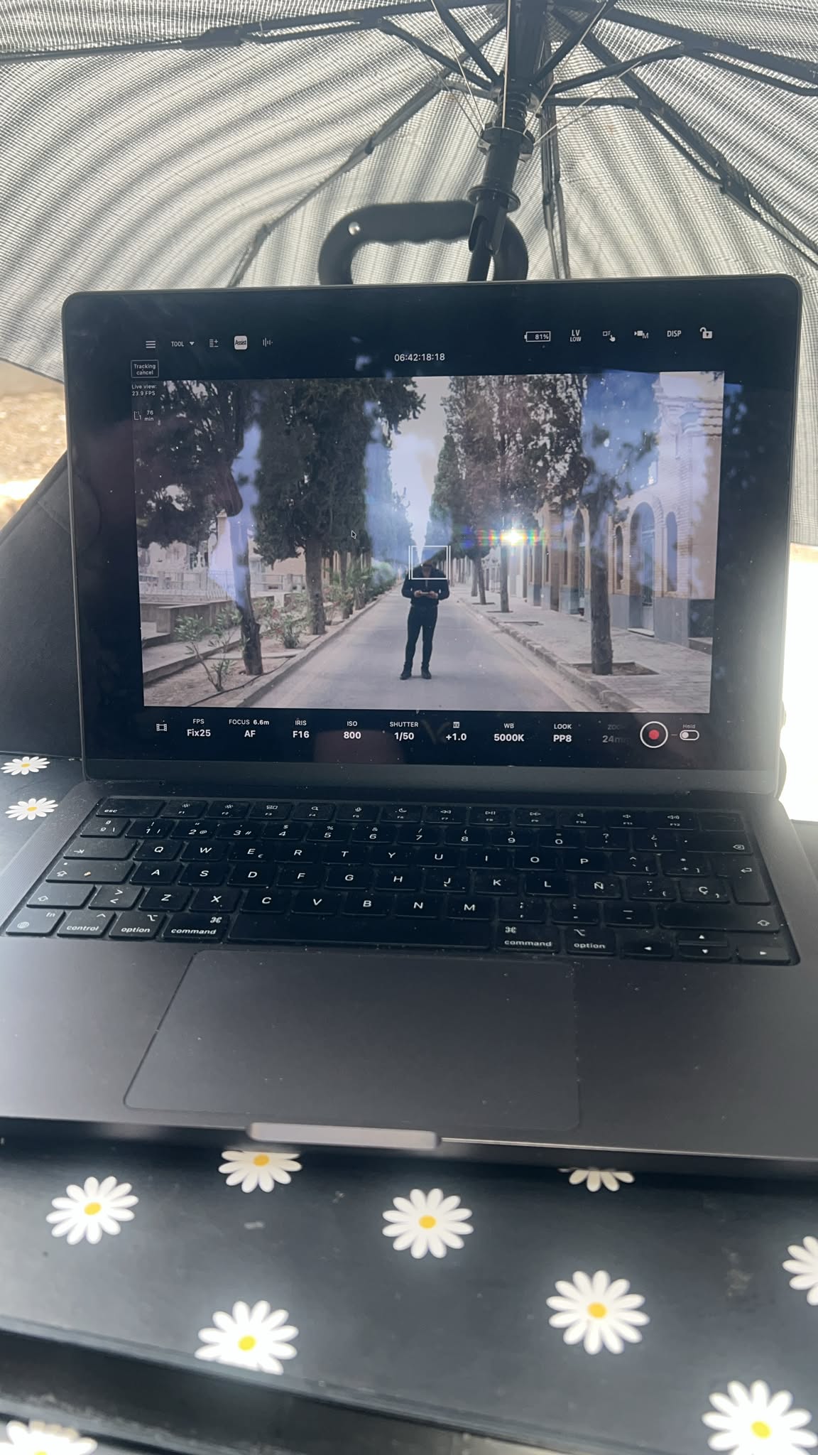 Dual View 7