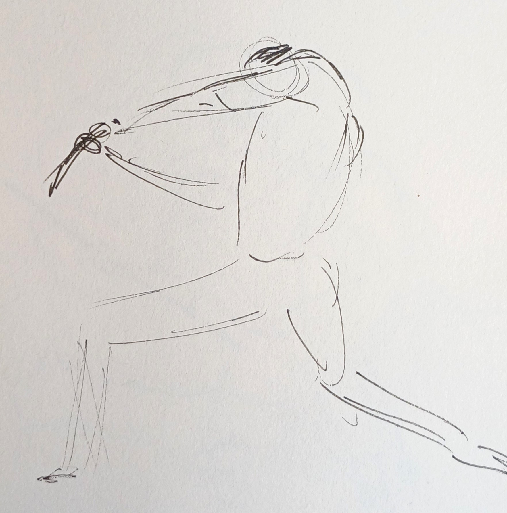 Life Studies 15