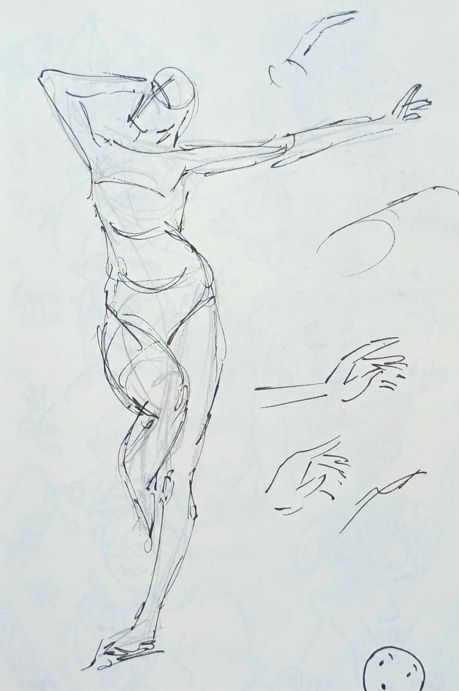 Life Studies 20