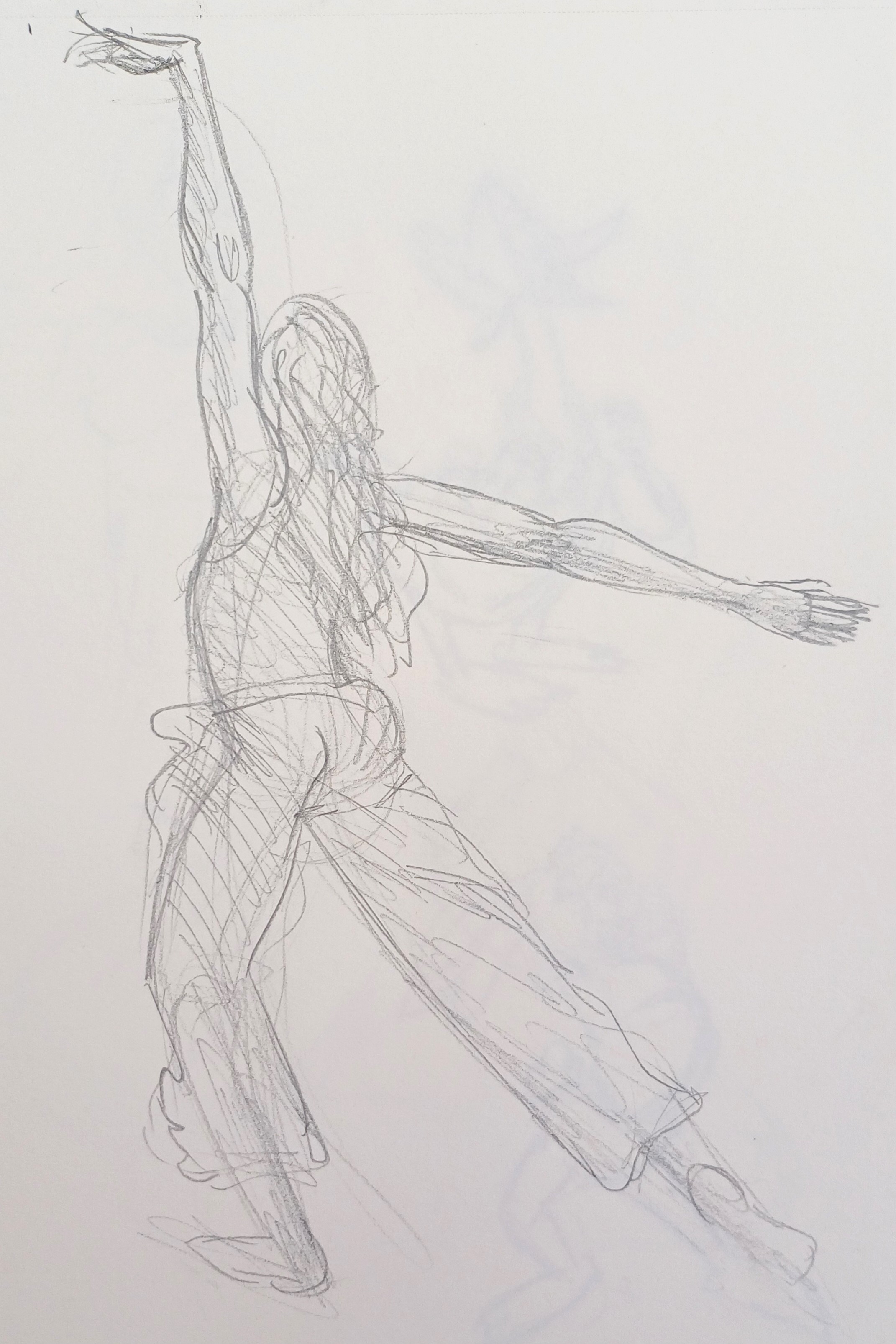 Life Studies 22