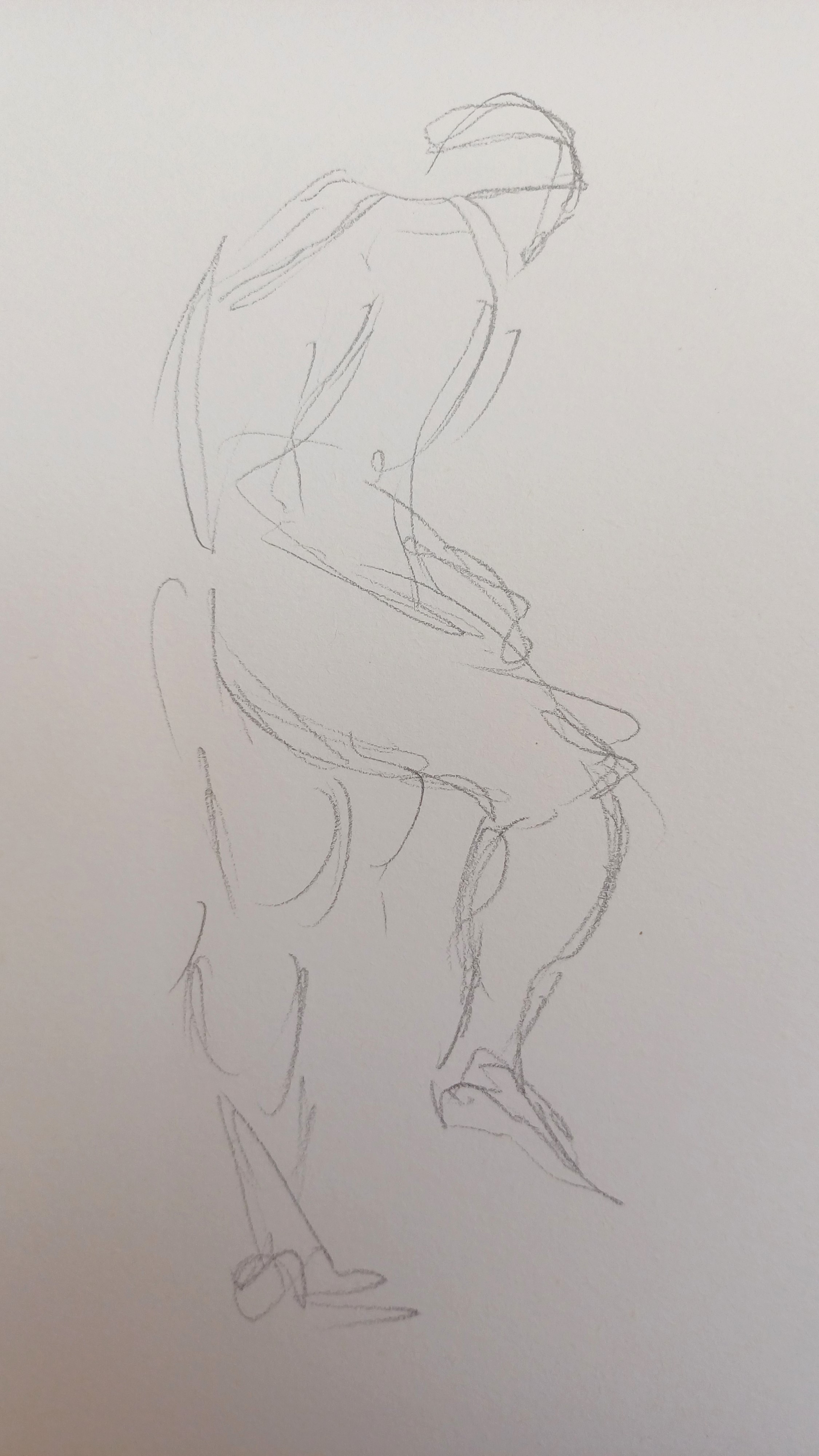 Life Studies 29