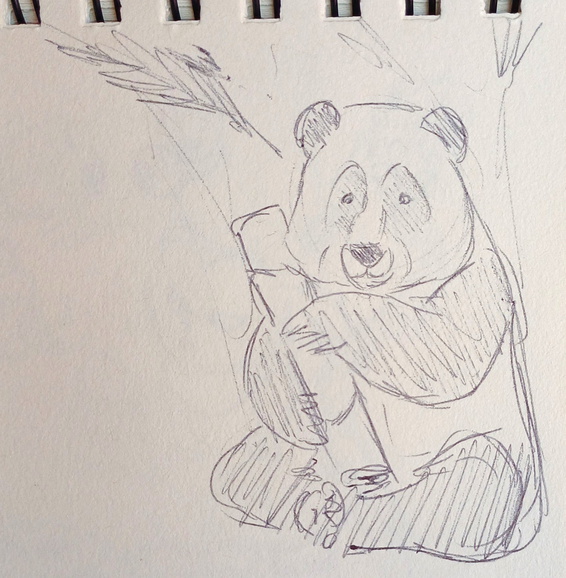 Life Studies 30
