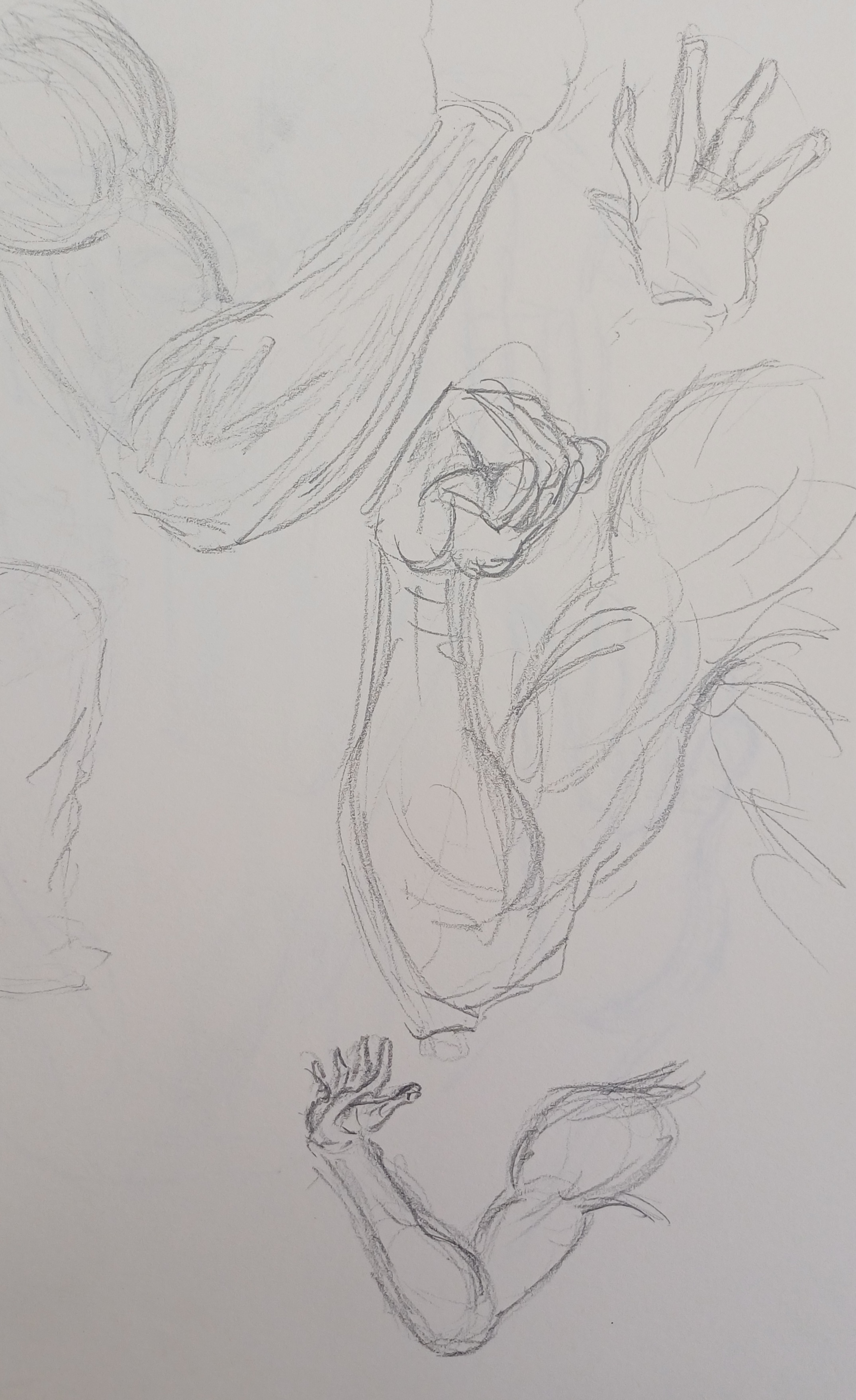 Life Studies 33