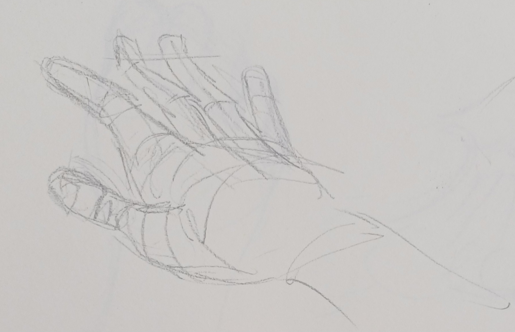 Life Studies 35